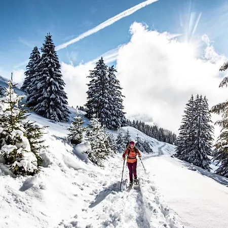 Alpina Al1 Mountain & Quiet 4 Pers Châtel