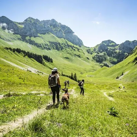 Alpina Al1 Mountain & Quiet 4 Pers Châtel